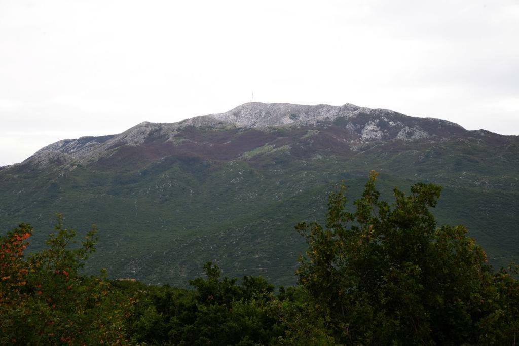 Malena Villa Zagvozd Exteriör bild